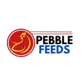 Pebble Feeds